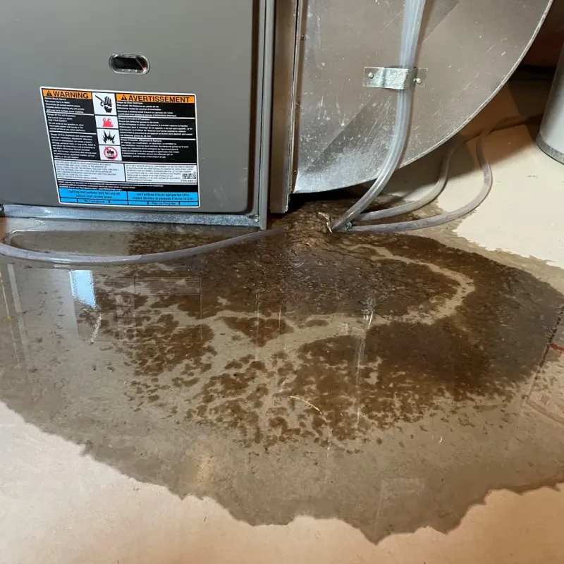 Appliance Leak Cleanup in Havre, MT